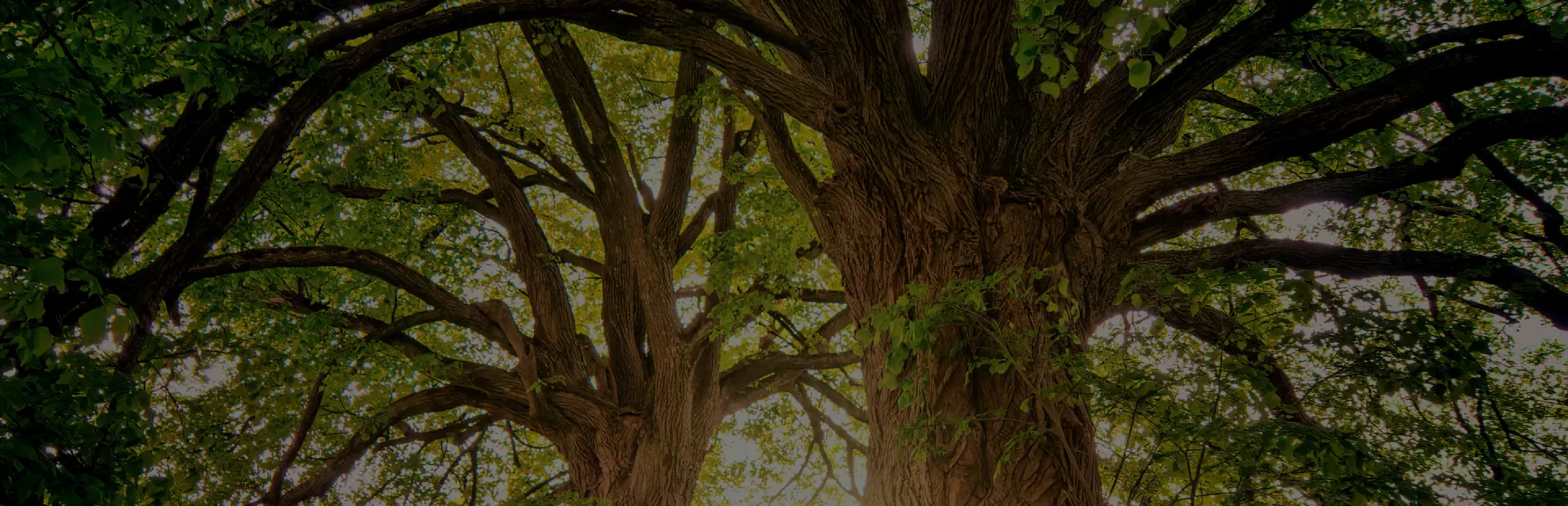 General breadcrumb hero