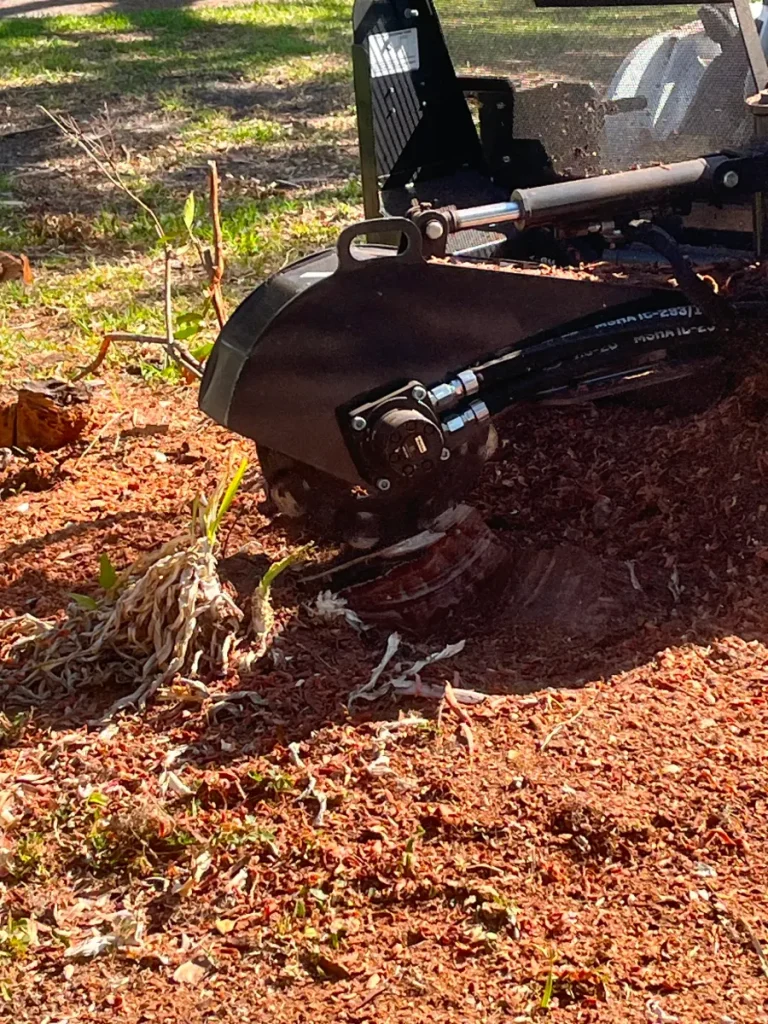 Stump Grinding 2
