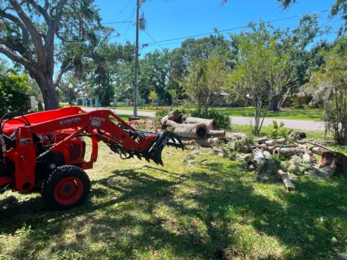 Tree Removal service