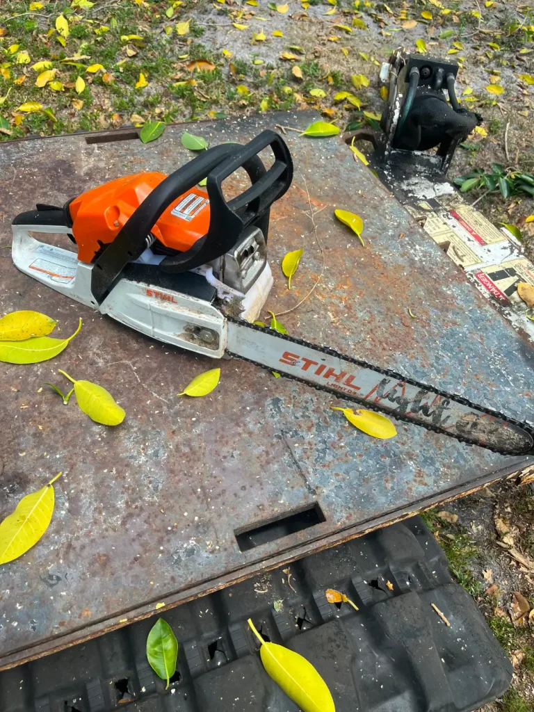 tree service tools